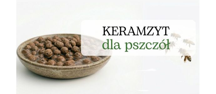 Keramzyt dla pszczół – dlaczego to klucz do bezpiecznego pojenia owadów?